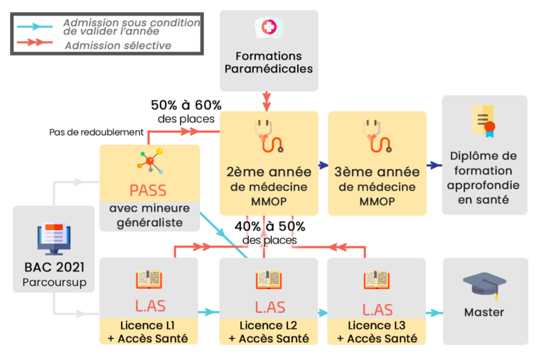 PASS Et L AS Comprendre La R forme Des tudes De Sant ex PACES PASS Et L AS Comprendre La R forme Des tudes De Sant ex PACES